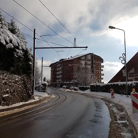 Balcon Du Chablais 公寓 *
